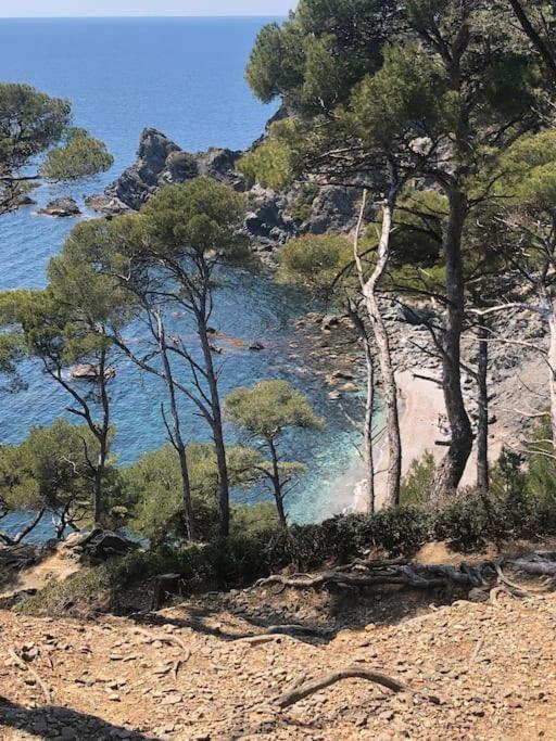 Апартаменты Petite Endroit Splendide. Сис-Фур-Ле-Пляж Экстерьер фото